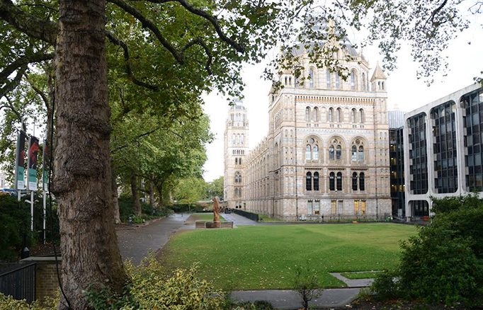 The Urban Nature Project – Natural History Museum